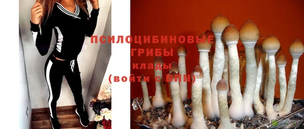 амф Богданович