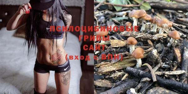 амф Богданович