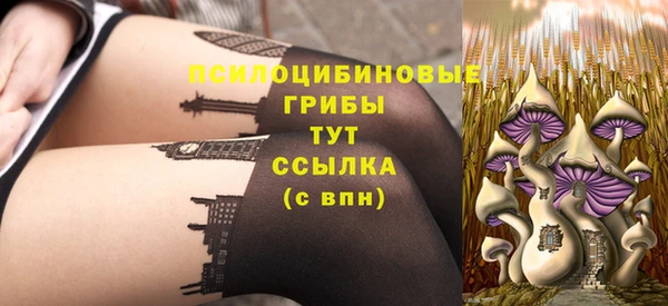 амф Богданович