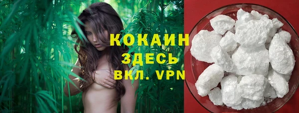 амф Богданович