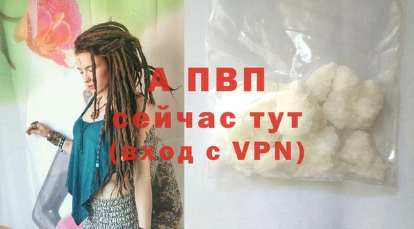амф Богданович